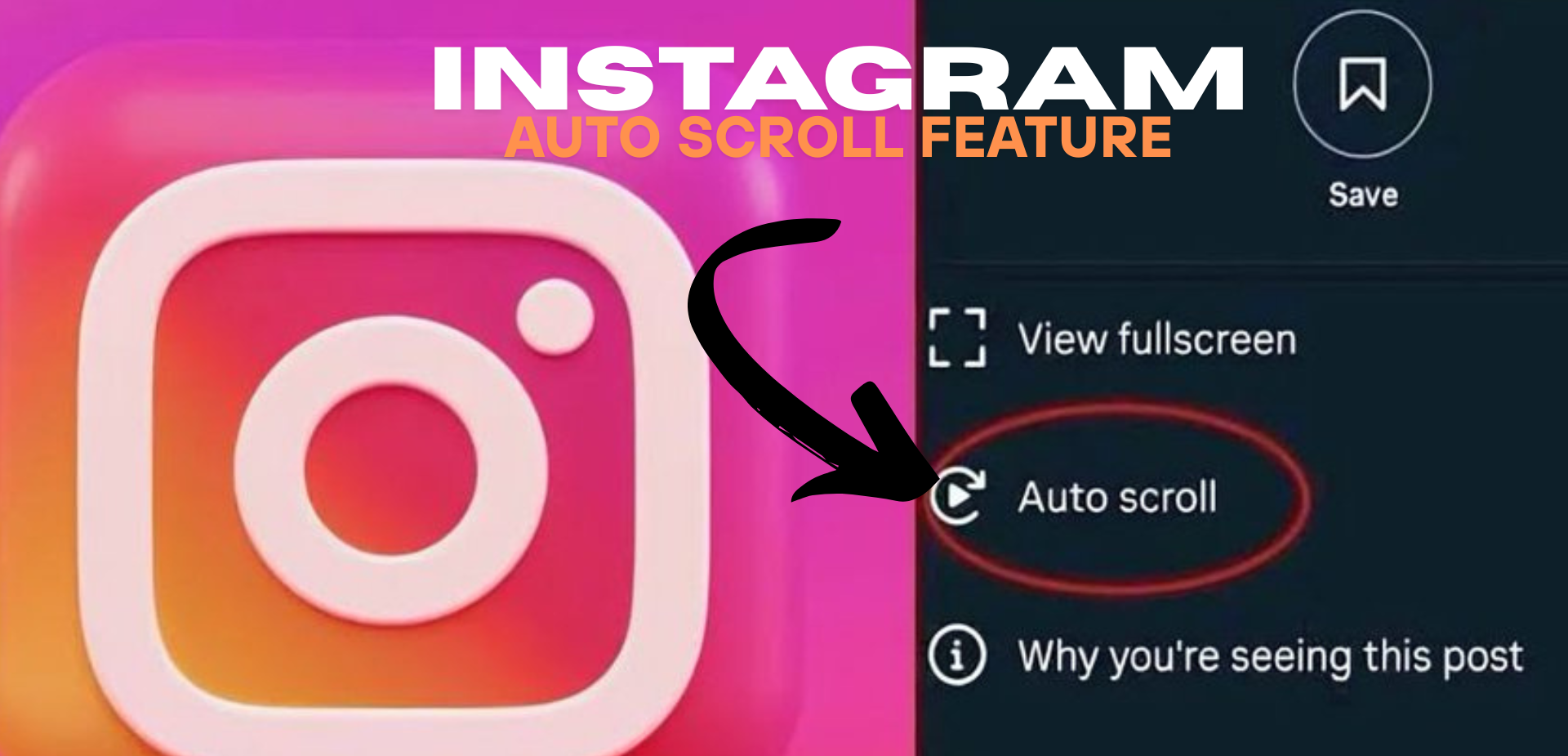 Auto Scroll Feature